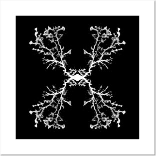 Cordyceps Symmetrical Rorschach Posters and Art